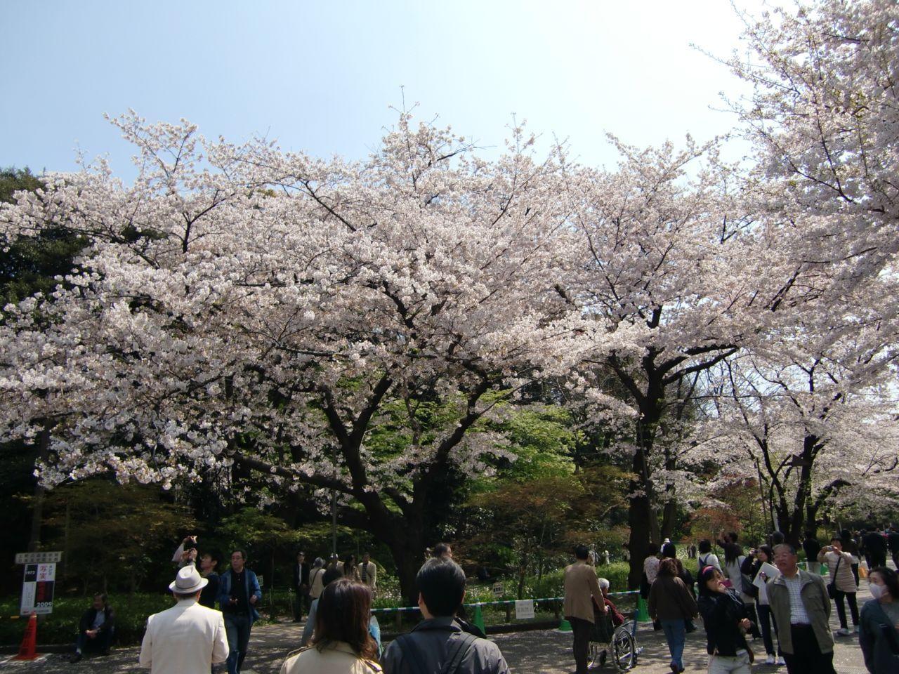 上野公园 快懂百科