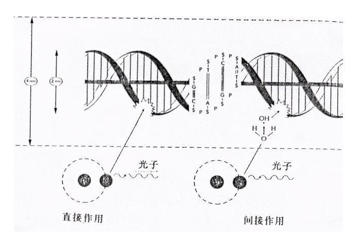 铱 192 快懂百科