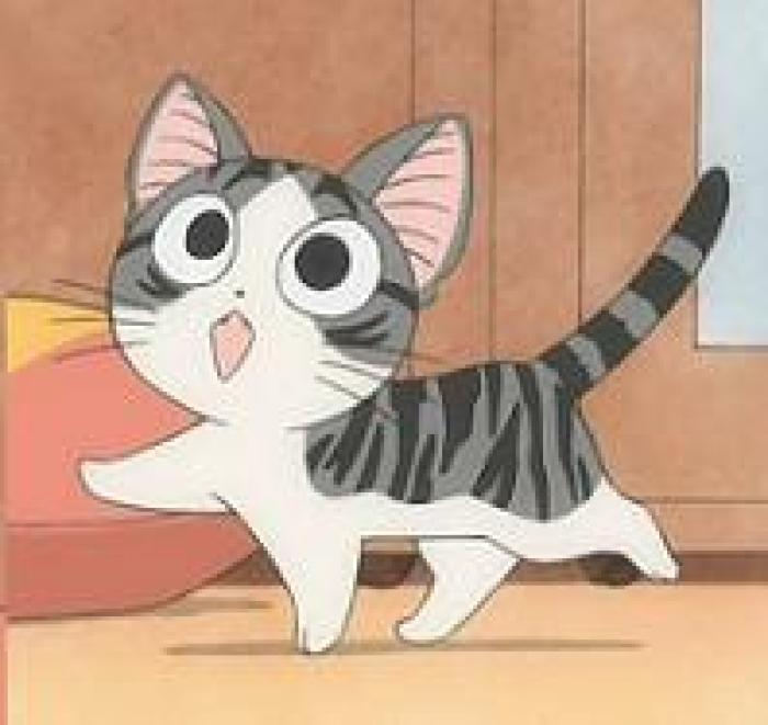 起司猫- 快懂百科