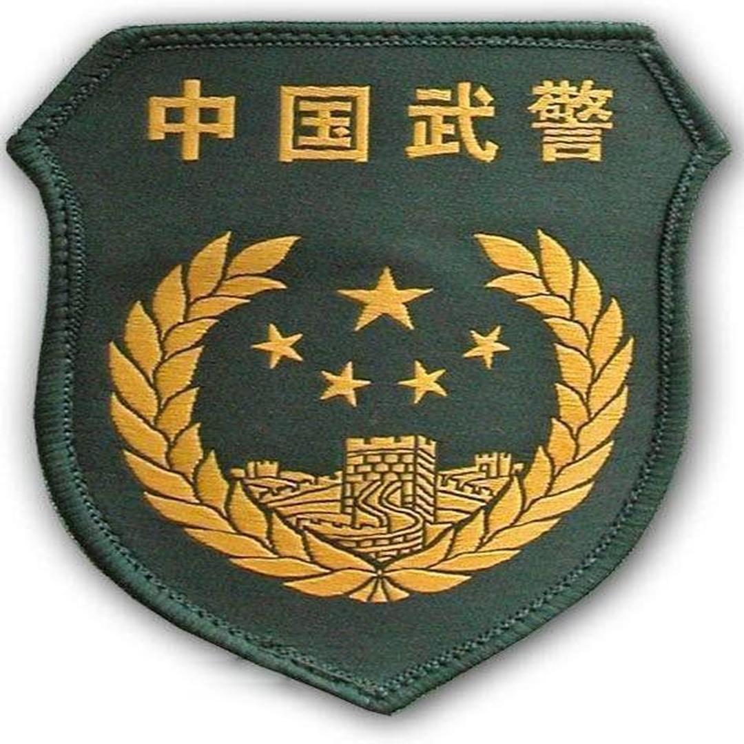 解放军07式臂章图片