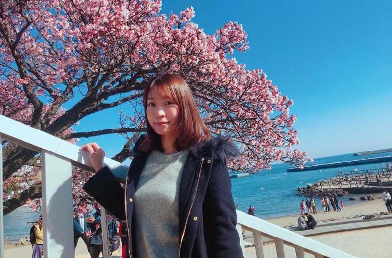 清水彩香 快懂百科