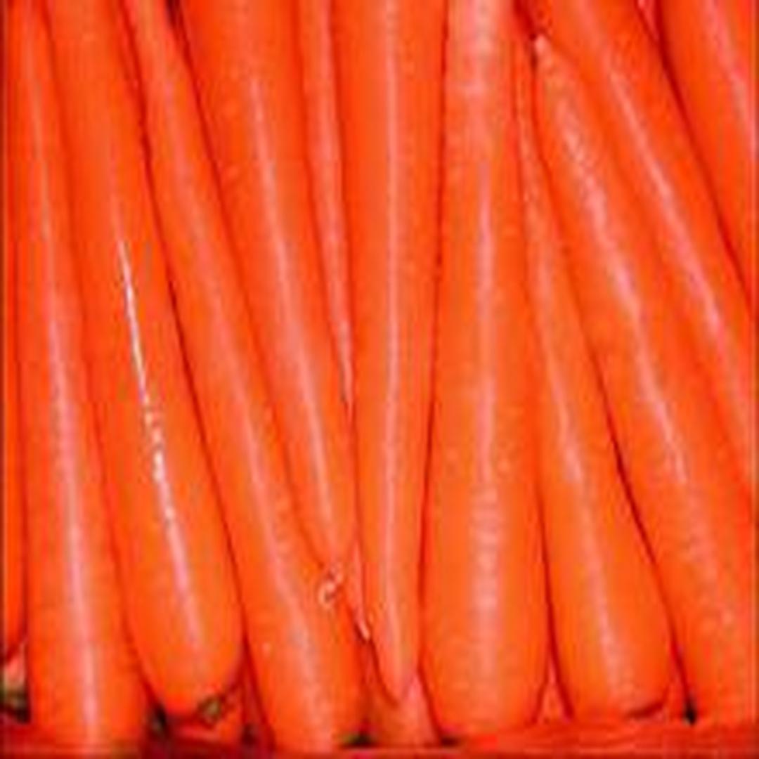 红森和日本杂交胡萝卜