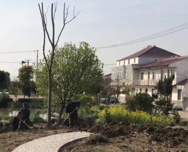 水稻科学文献综述模板在作物生长的后期施肥吗