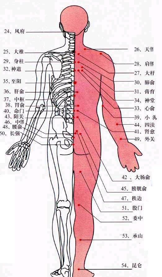 八脉交会穴 快懂百科