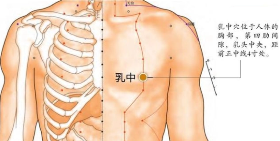 乳中穴 头条百科