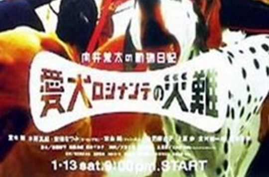 向井荒太的动物日记 快懂百科