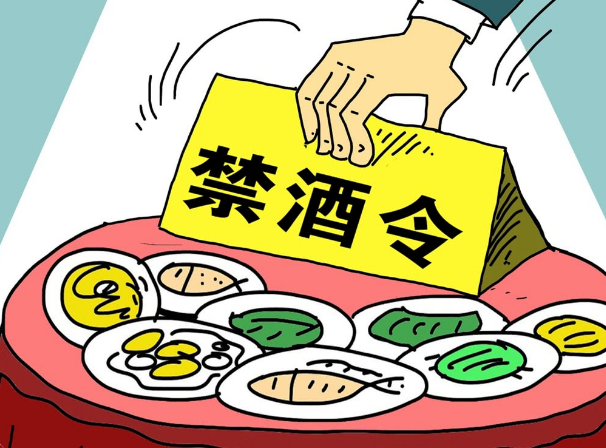 禁酒令 - 快懂百科