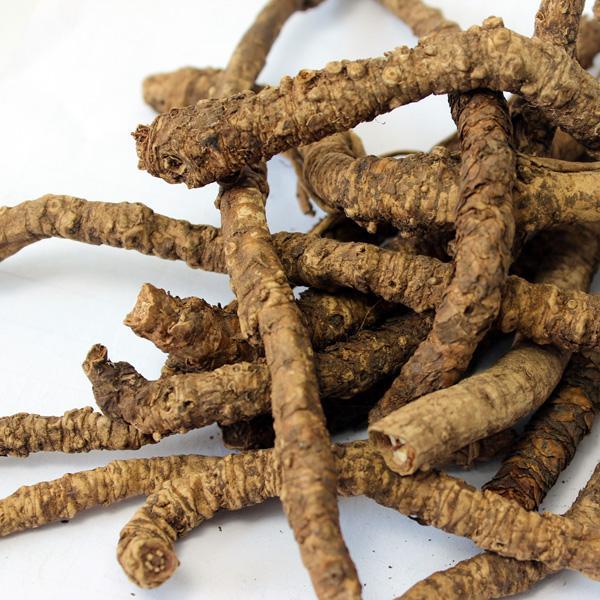 胡黄连[胡黄连]