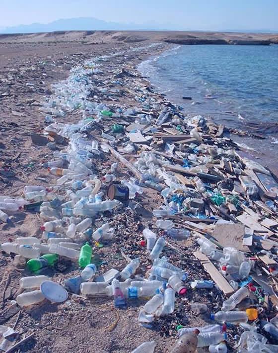 海洋垃圾 快懂百科