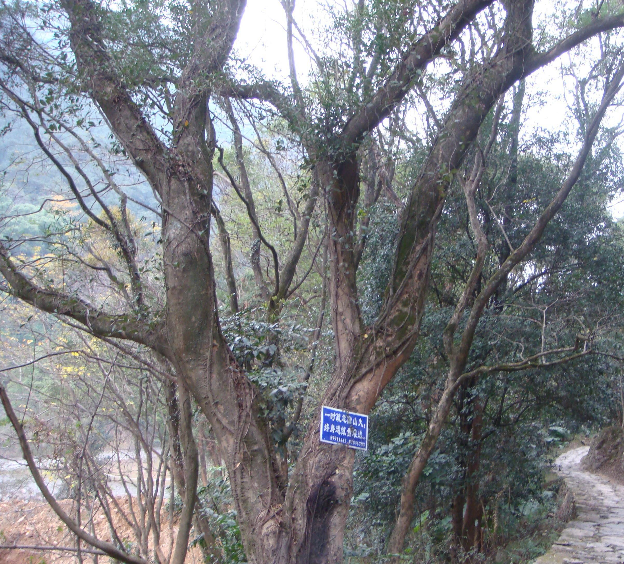 寄生关系 快懂百科