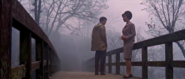 落花时节 快懂百科