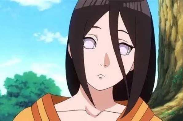 日向花火 快懂百科