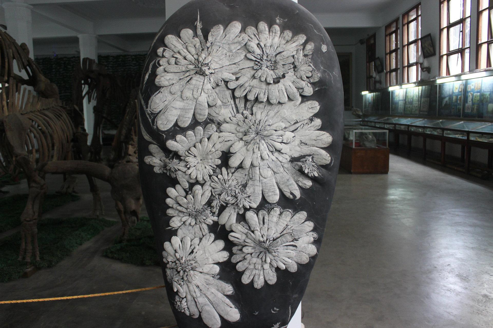 菊花石 菊花石 头条百科