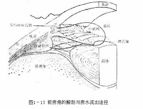 編輯診斷併發症:由於過敏性白內障晶狀體皮質溶解而發生繼發性開角型