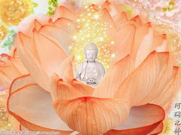 十种供养 快懂百科