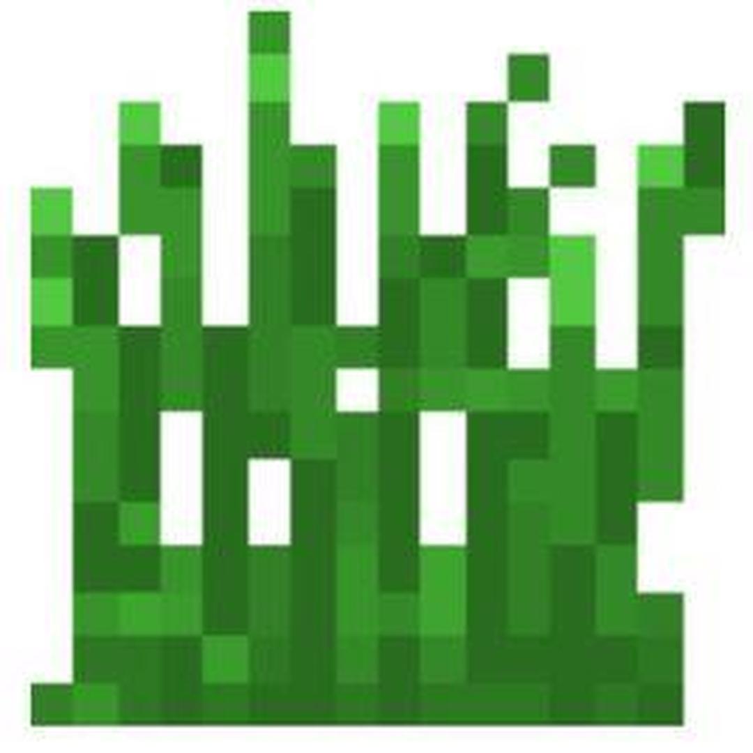 草丛 Minecraft中的一种物品 头条百科