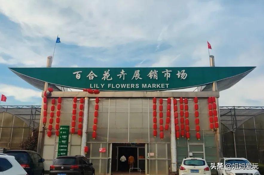 济南百合花卉市场门头图