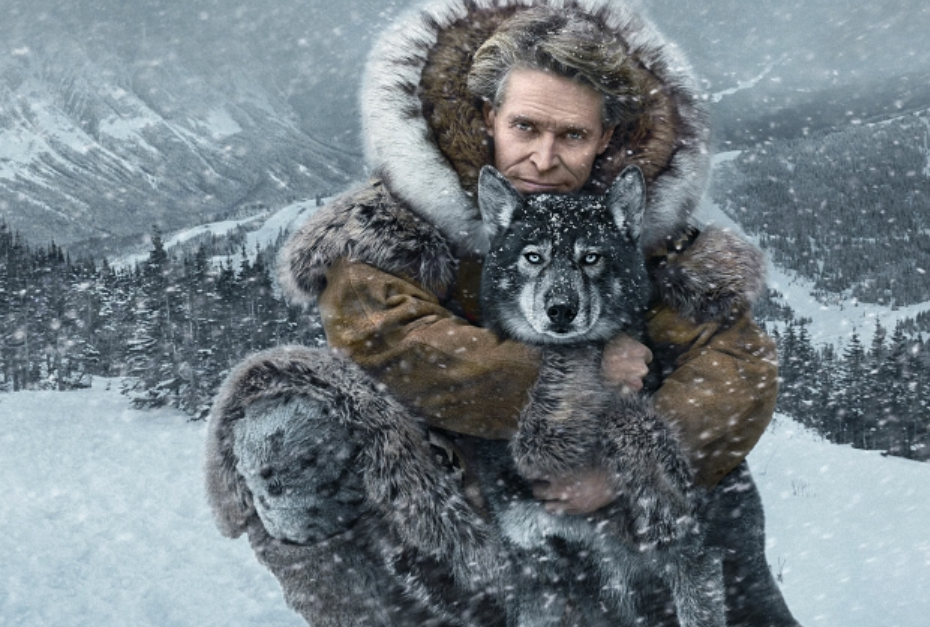 一部阿拉斯加雪橇犬送血清救命的催泪电影《多哥》解说-宠物主人