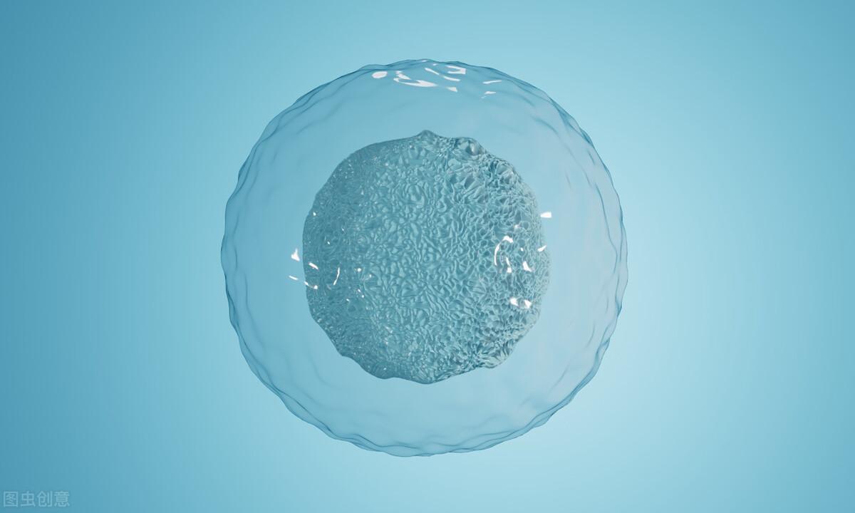 卵泡发育不良能治好吗，这样做让你的卵泡又大又圆