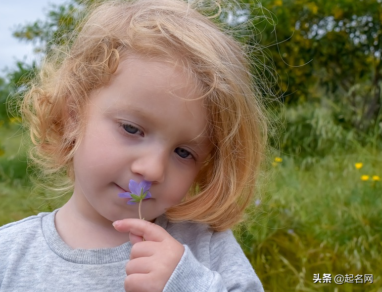 属虎有山有水有树林的名字，属虎带山字最吉利的女孩名字