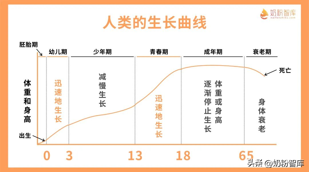 人一生的身体变化图图片