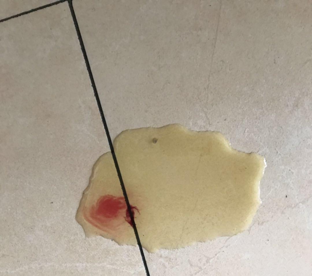 猫狗尿血怎么办?别慌张,要做哪些检查看完就知道-宠物主人